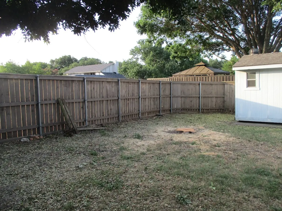 Cleared yard after professional tree removal in Spottsville